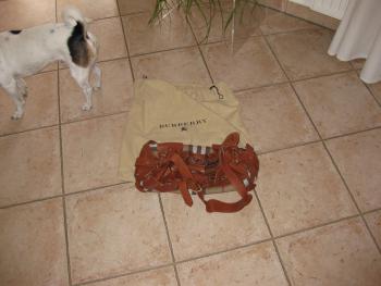 full_img_5703.jpg