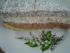 Bunte K�sesahne Torte