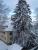 full_dsc00446.jpg