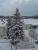 full_dsc00448.jpg