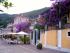 Bl�tenpracht