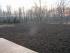 full_pict0111.jpg