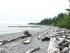 typischer Pazifikstrand in Kanada (hier: Miracle Beach)