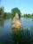 \"Buddha\" im Wasser