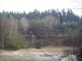 full_dsci0002.jpg