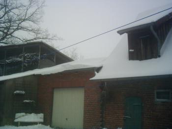 full_silvester20055.jpg