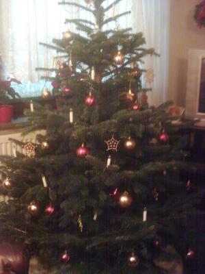 full_weihnachtsbaum052.jpg