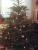 full_weihnachtsbaum052.jpg