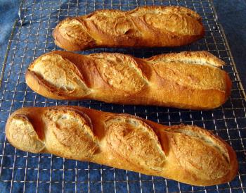 Brot Br&ouml;tchen backen 16 03 22 03 13 574660873