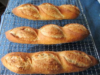 Brot Br&ouml;tchen backen 16 03 22 03 13 3523306964