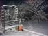 full_winter2008059.jpg