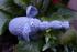 Elefant