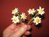 Fantasieblumen