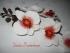 Orchideenrispe Phaleanopsis-hybride
