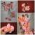 Orchidee-Phaleanopsis rosa