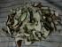 full_dsc02888.jpg
