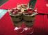 Leckeres Erdbeerdessert mit Vanillecreme und Joghurette