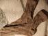 Riesensocken Gr.48