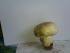 full_dsc_0270.jpg