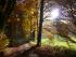 Herbstspaziergang