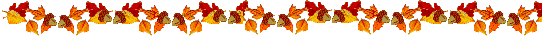 3098420041