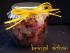 Brinjal-Achar1.jpg  S��-sauer eingelegte Augerginen