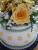 Maigl�ckchen und G�nsebl�mchen als F�llblumen