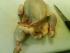 full_dsc00302.jpg