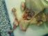 full_dsc00303.jpg