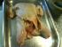 full_dsc00311.jpg