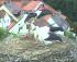 full_storch119.jpg