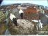 full_51346675e45bc_hoechstadt1.jpg