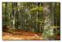 06full_herbstimpressionena19079355.jpg