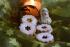 Feine M�rbeteigpl�tzchen
