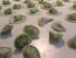 B�rlauchtortellini