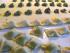 Agnolotti