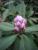 full_20090405060500_0007.jpg