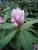 full_20090407060543_0036.jpg