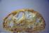 ciabatta aus deutschem 550er
