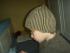 m�tze von der seite