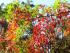 full_img_20121014_115136.jpg