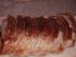 D�nischer Schweinebraten von Ingrid R.