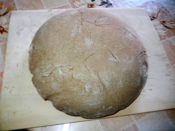 Brot Br&ouml;tchen backen 16 03 22 03 13 3775667857