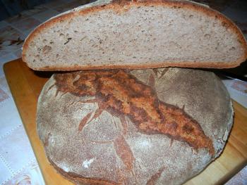 Brot Br&ouml;tchen backen 16 03 22 03 13 561355673