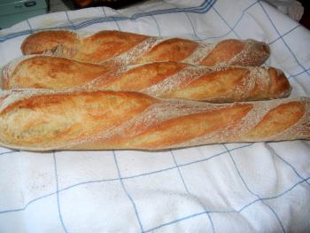 Brot Br&ouml;tchen backen 16 03 22 03 13 946636447