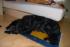full_dsc_2781.jpg