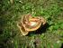 full_dscn3082.jpg