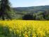 full_30.4.12..17.jpg