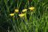full_dsc_1064.jpg