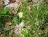 full_dscn1572.jpg